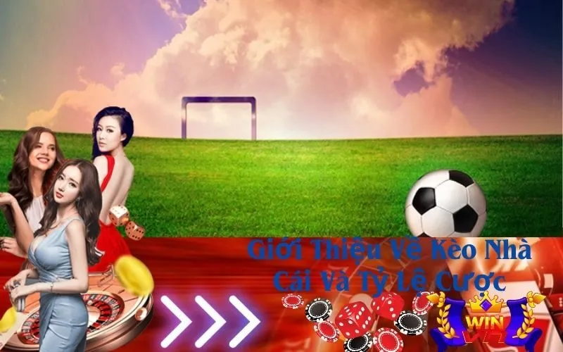Giới Thiệu Về Kèo Nhà Cái Và Tỷ Lệ Cược