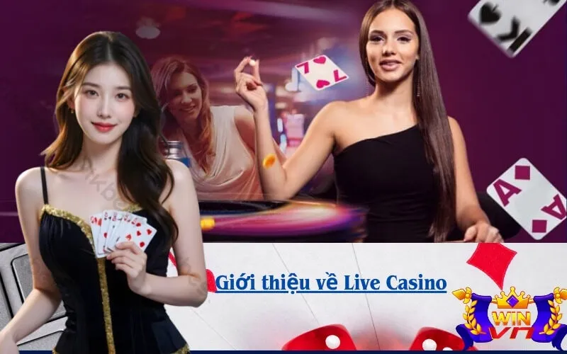 Giới thiệu về Live Casino