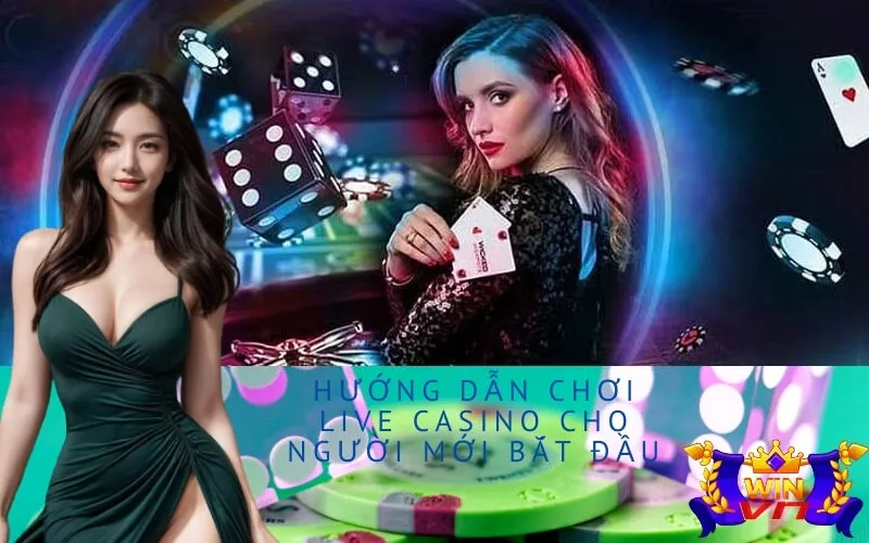 Hướng dẫn chơi Live Casino cho người mới bắt đầu